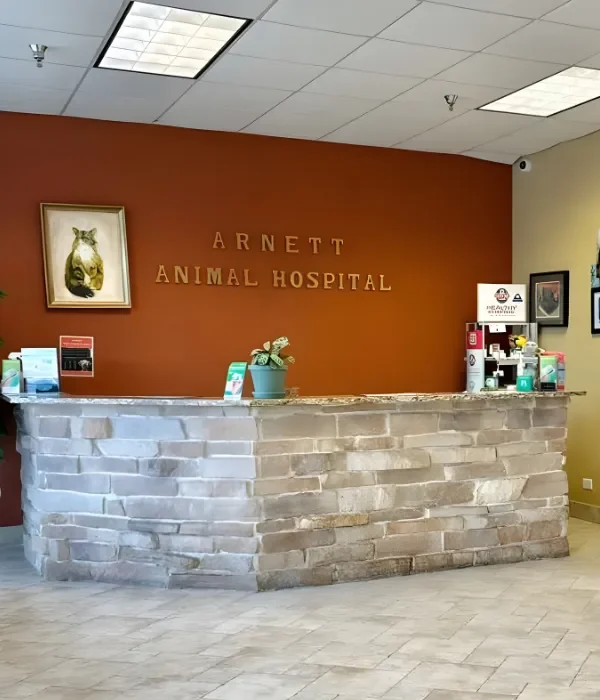 Untitled - 2026-03-06T144431.342