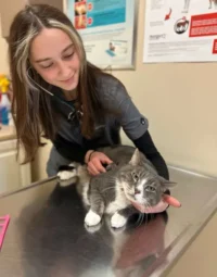 Untitled - 2026-03-06T144651.662